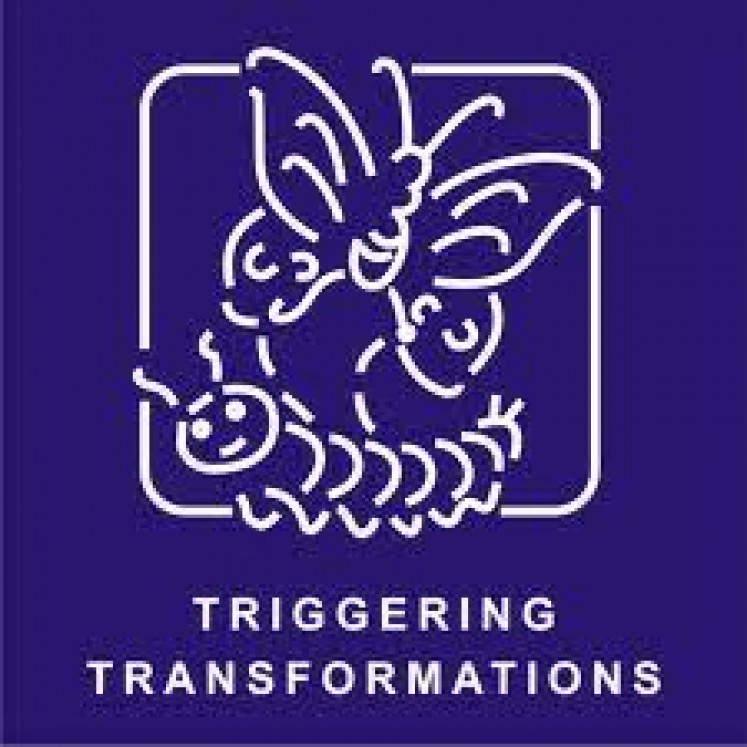 Vindhya Institute of Management & Research, Indore