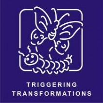 Vindhya Institute of Management & Research, Indore